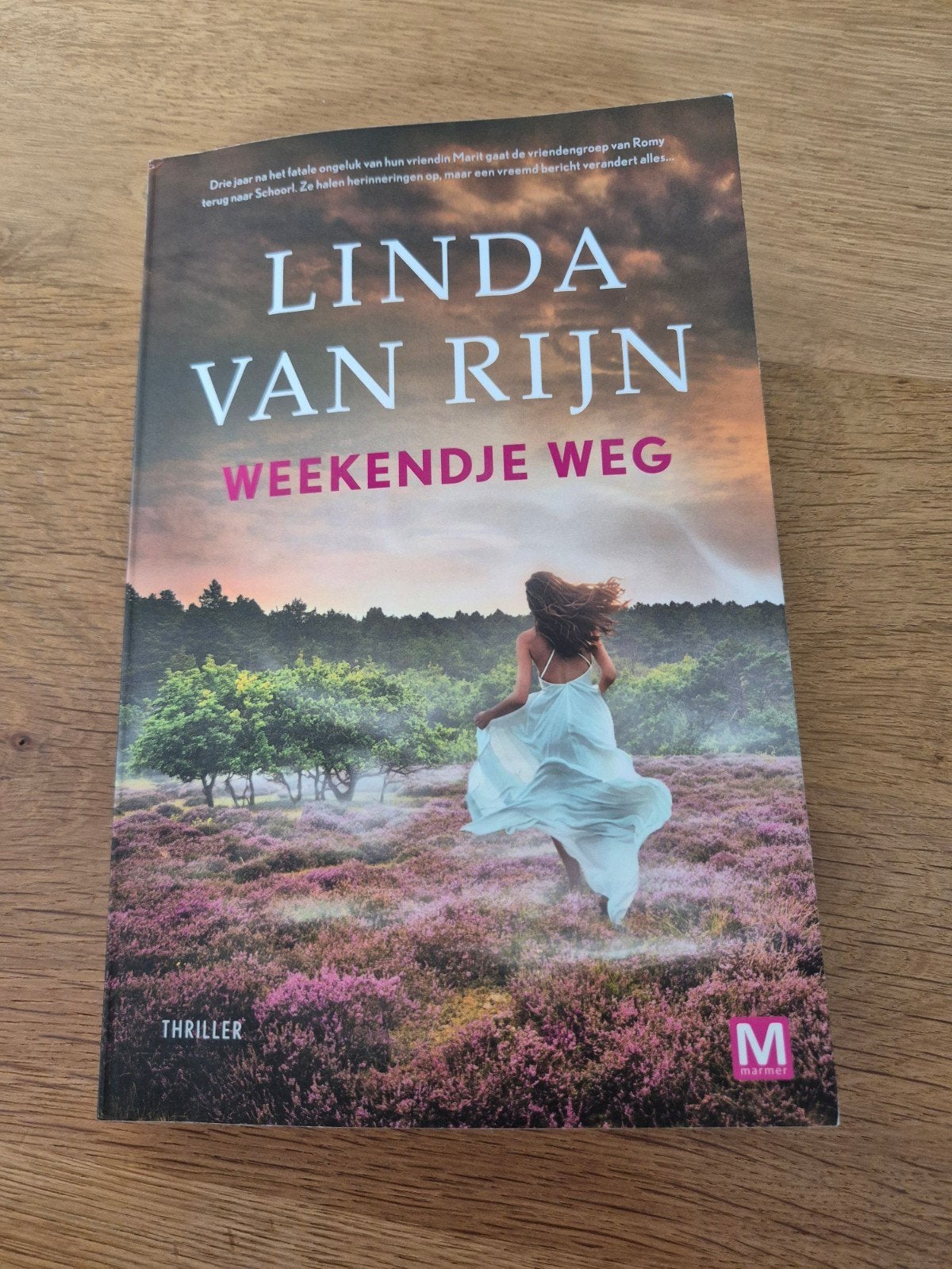 Linda van Rijn - Weekendje weg (Gesigneerd), Ophalen of Verzenden, Zo goed als nieuw, Linda van Rijn