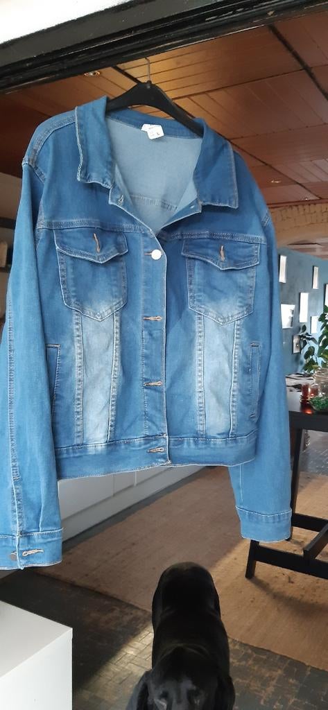 Stoere jeans jas - Blauw denim jack maat L Lee, Levis look, Blauw, Maat 42/44 (L), Nieuw, Ophalen of Verzenden