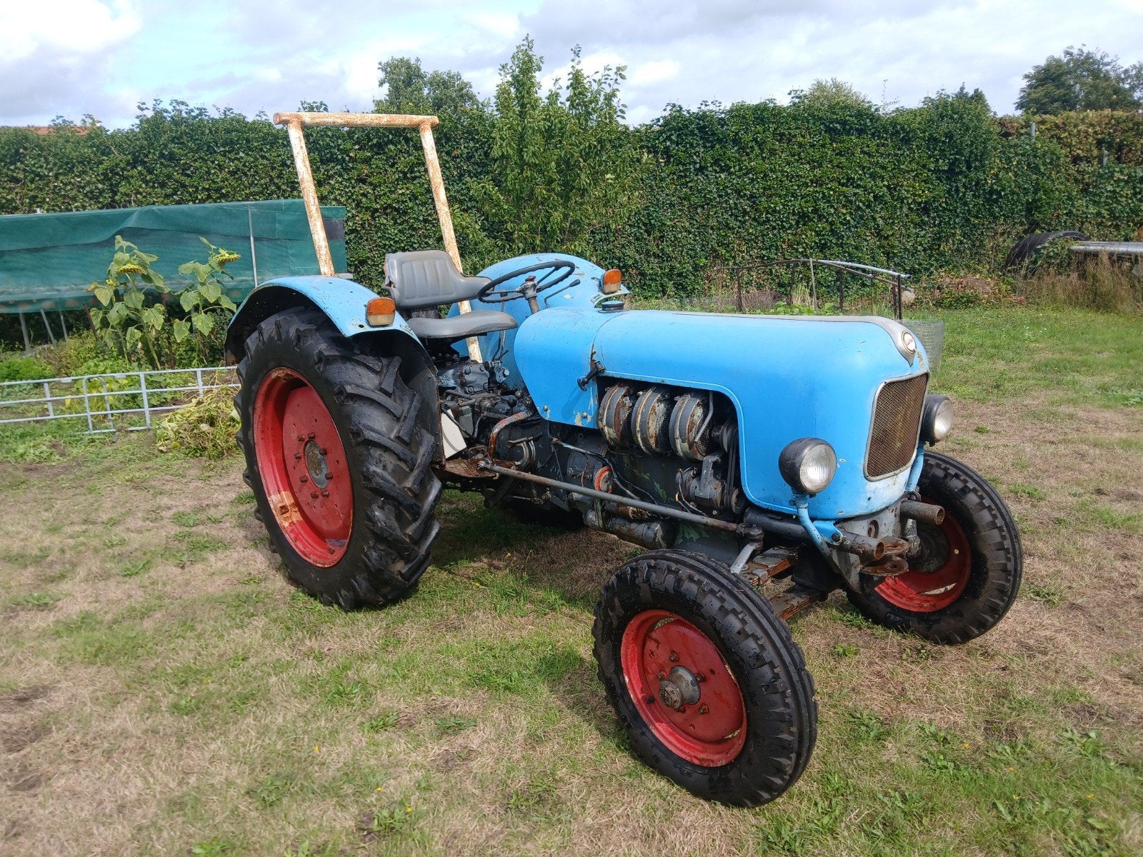 Eicher Koning Tiger EM 300 S Oldtimer Tractor, Zakelijke goederen, Agrarisch | Tractoren, Ophalen, Oldtimer, Tot 80 Pk, Tot 2500