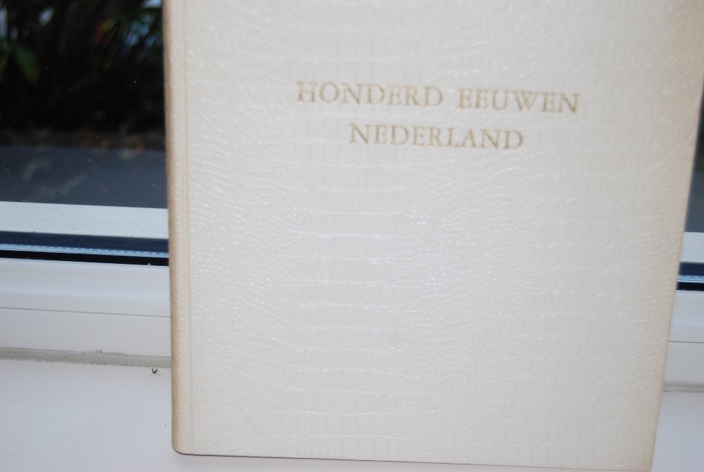 Honderd eeuwen Nederland, D. Hans, Ophalen of Verzenden, 20e eeuw of later, Gelezen