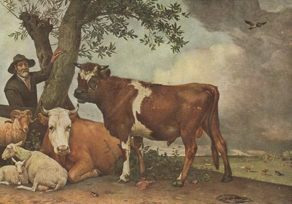 de Stier  Paulus Potter, Ophalen of Verzenden, Zo goed als nieuw, Voor 1940, Dier