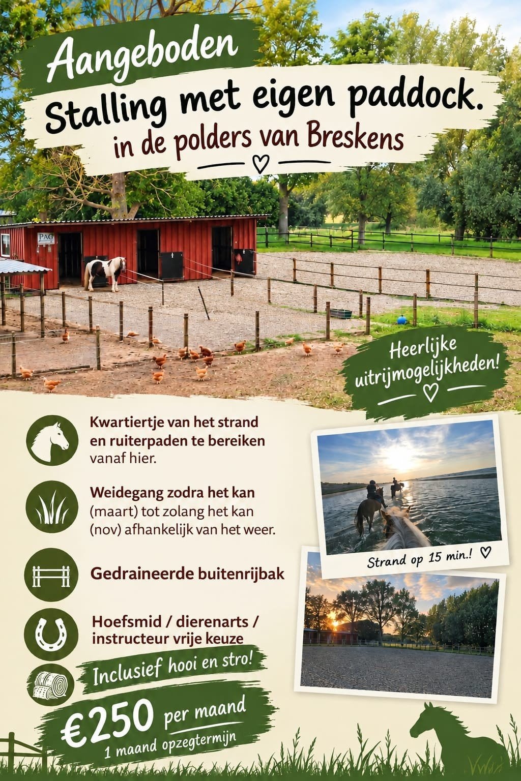 stalling met eigen paddock Breskens, Stalling, 1 paard of pony