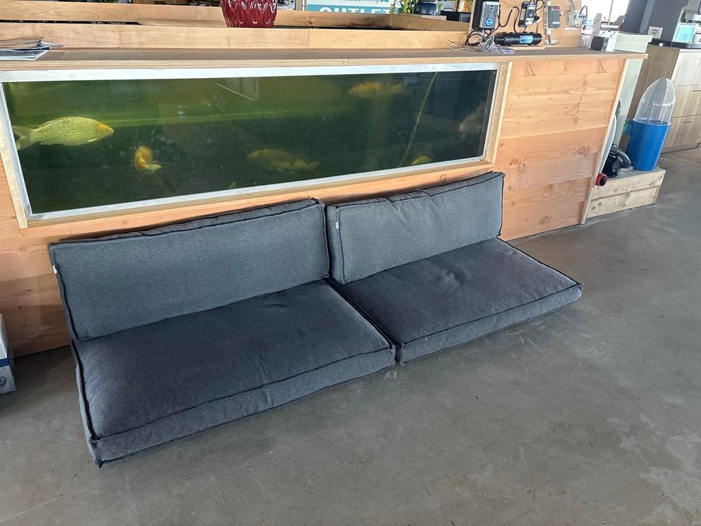 Kunststof vijverbak, Ophalen of Verzenden, Zo goed als nieuw, Gevuld zoetwateraquarium