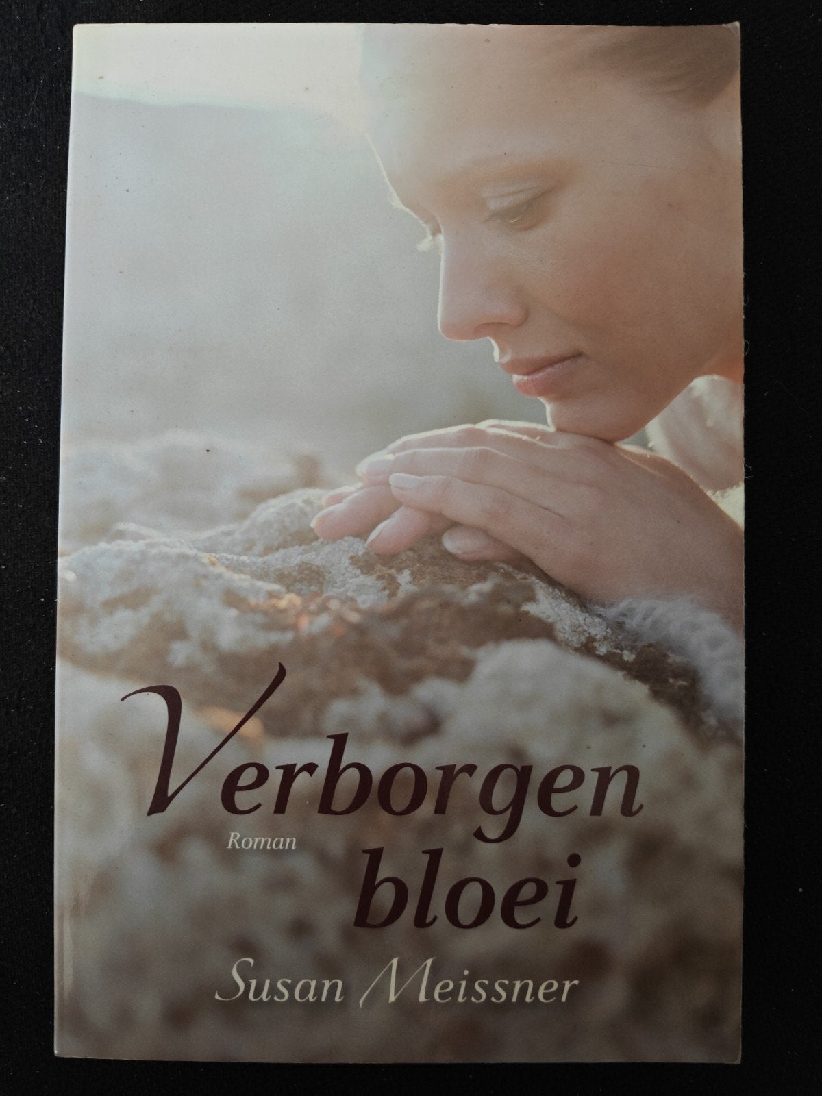 Verbergen bloei - Susan Meissner (Roman), Boeken, Gelezen, Susan Meissner, Ophalen of Verzenden, Amerika