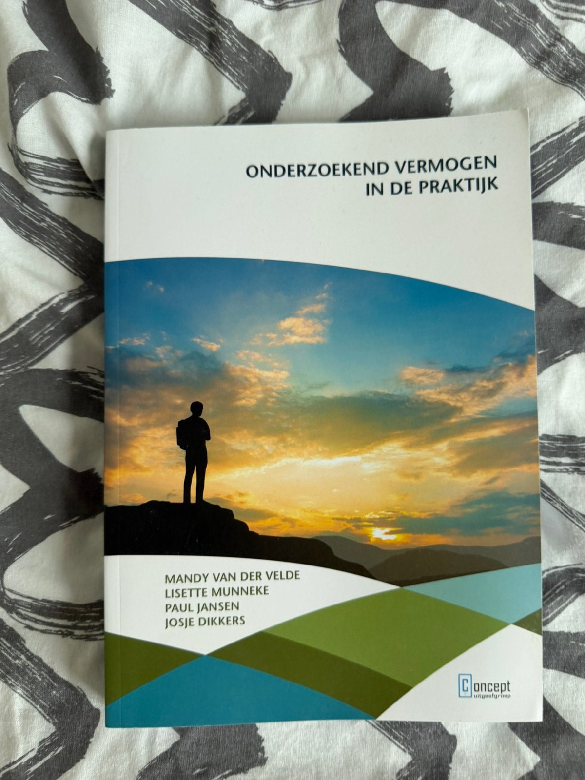 Mandy van der Velde - Onderzoekend vermogen in de praktijk, Ophalen of Verzenden, Zo goed als nieuw, Nederlands, Overige niveaus