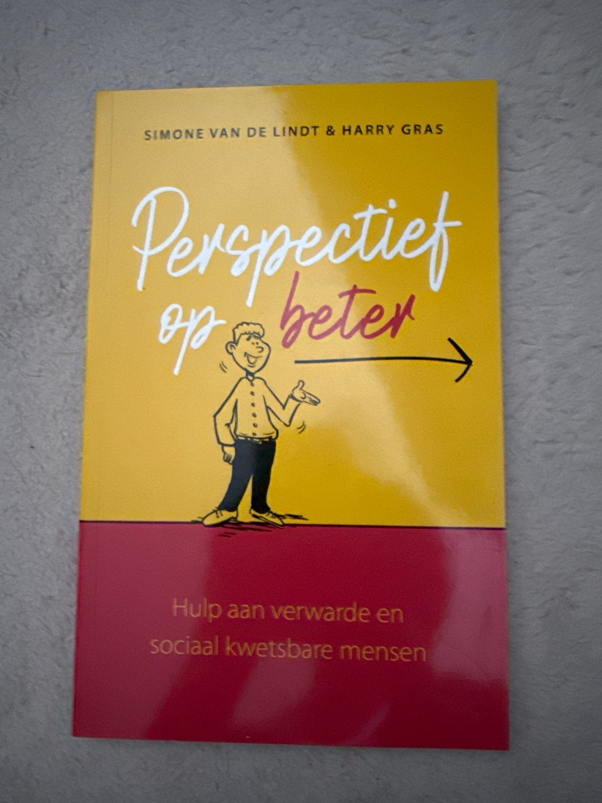 Perspectief op beter - Hulp aan kwetsbare mensen, Ophalen of Verzenden, Zo goed als nieuw