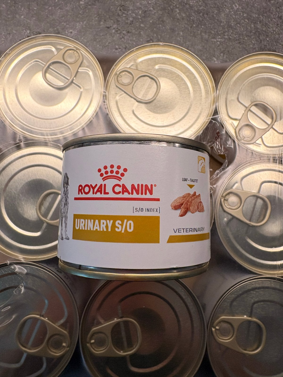 Royal Canin urinary s/o hond, Ophalen, Hond