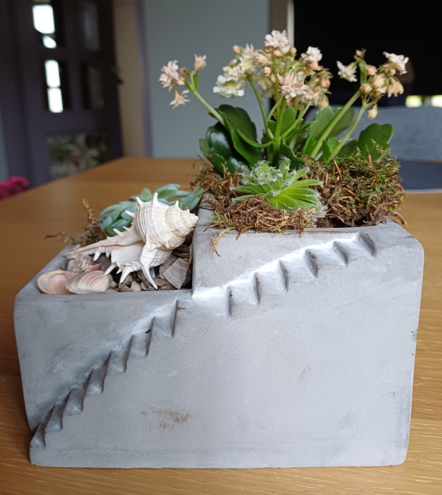 Betonnen bloembak 15 cm bij 14 cm met planten en decoratie, Tuin en Terras, Ophalen, Minder dan 30 cm, Minder dan 60 cm, Zo goed als nieuw