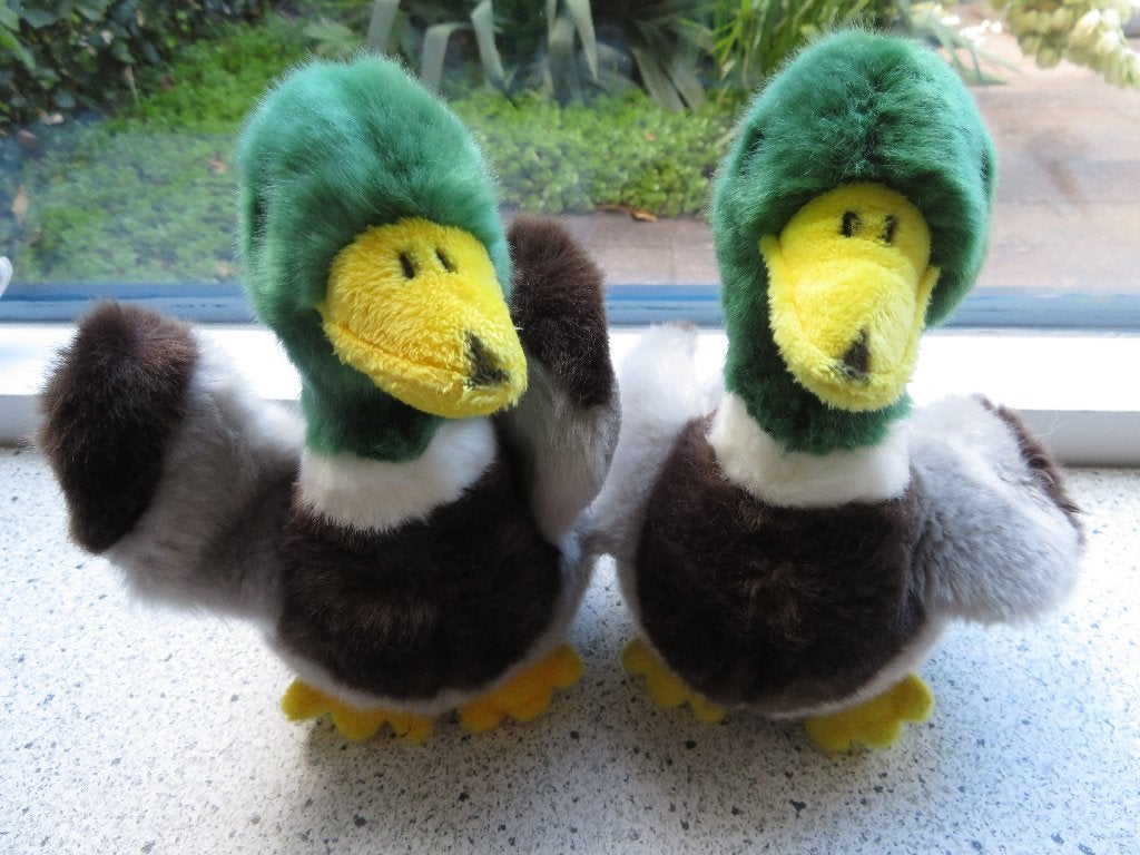 2 x Eend Woerd merk Ravensden Suma Colletion dierentuin, Ophalen of Verzenden, Zo goed als nieuw, Eend, Wasbaar