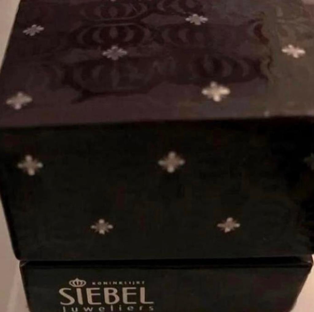 Siebel ,mooie zware ring …maat 16 …edelstaal +zirkonia steen, Ophalen of Verzenden, Zo goed als nieuw, Overige kleuren