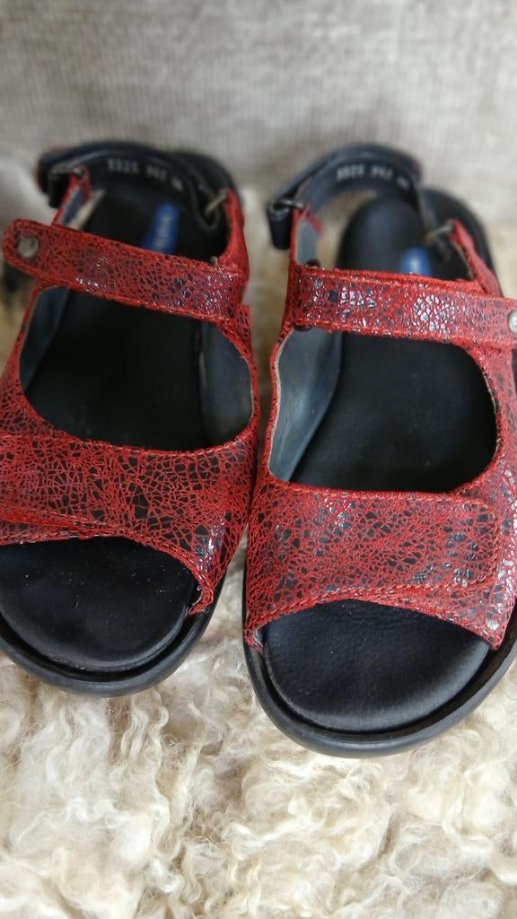 Wolky rode sandalen met print, Kleding | Dames, Schoenen, Ophalen of Verzenden, Zo goed als nieuw, Rood, Sandalen of Muiltjes