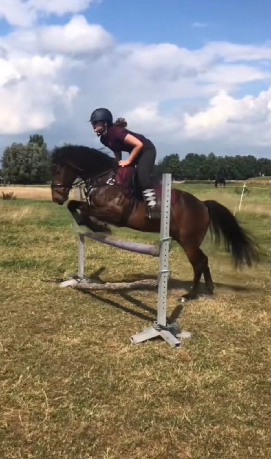 Verzorgpony gezocht!, Ophalen of Verzenden, Nieuw