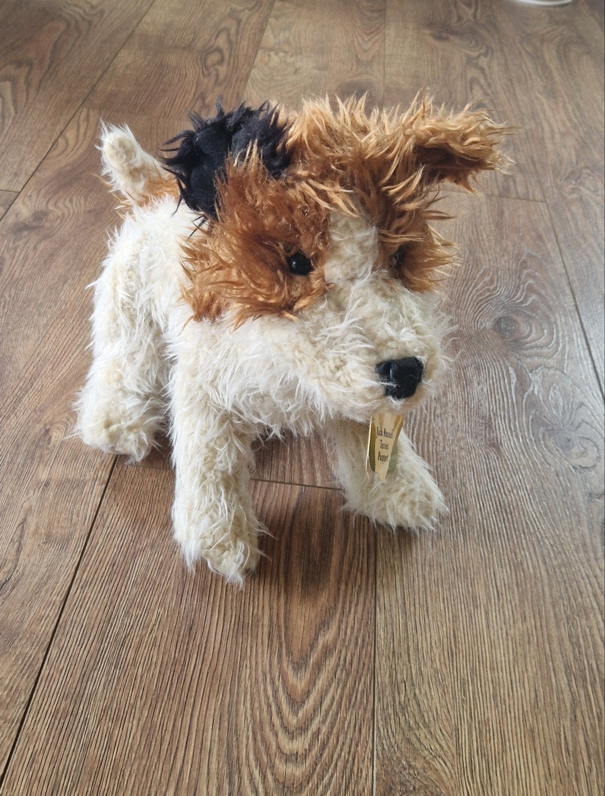 Folkmanis handpop Jack Russell Terrier - Nieuw met kaartjes, Overige merken, Nieuw, Met label, Hond