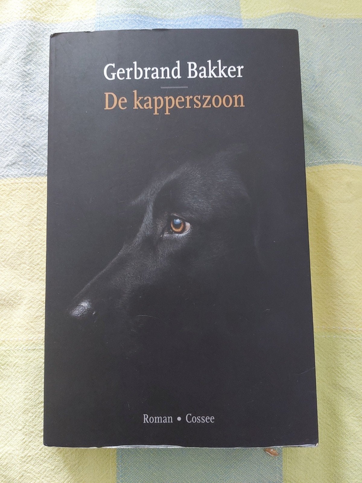Gerbrand Bakker - De kapperszoon (Roman), Boeken, Ophalen of Verzenden, Gelezen, Gerbrand Bakker, Nederland