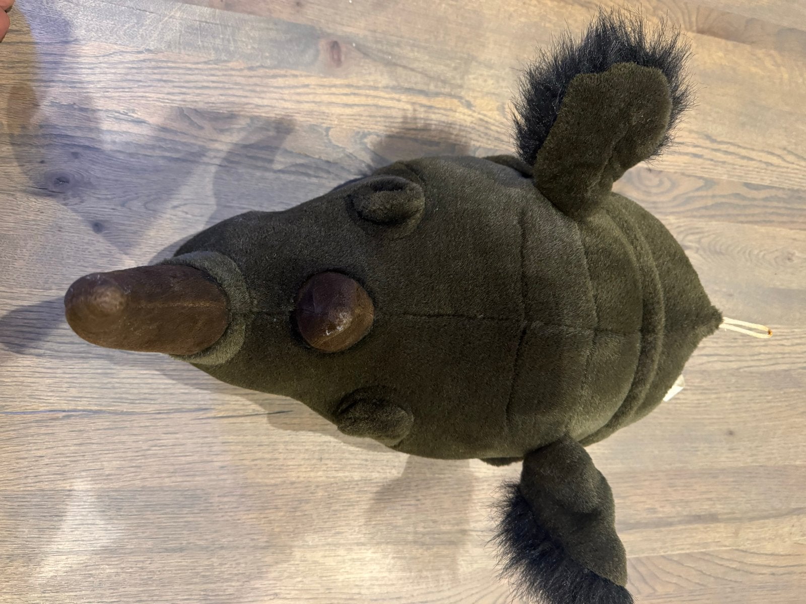 Wanddecoratie neushoorn- Zo goed als nieuw merk Bibib, Overige merken, Overige karakters, Overige typen, Ophalen of Verzenden