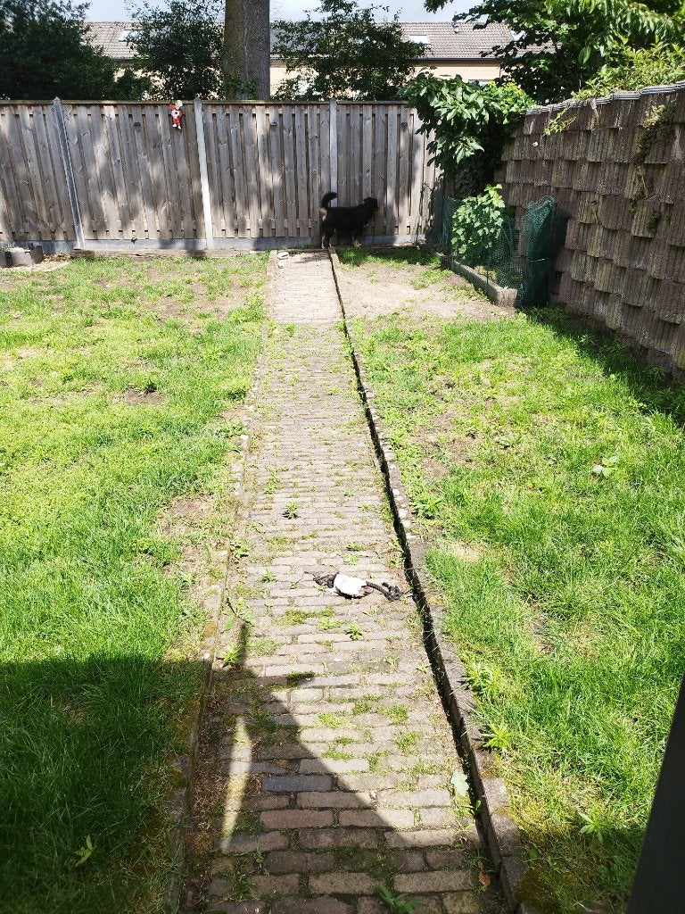 Waaltjes +/-6m2, Tuin en Terras, Tegels en Klinkers, Ophalen, Overige materialen, Gebruikt, Klinkers