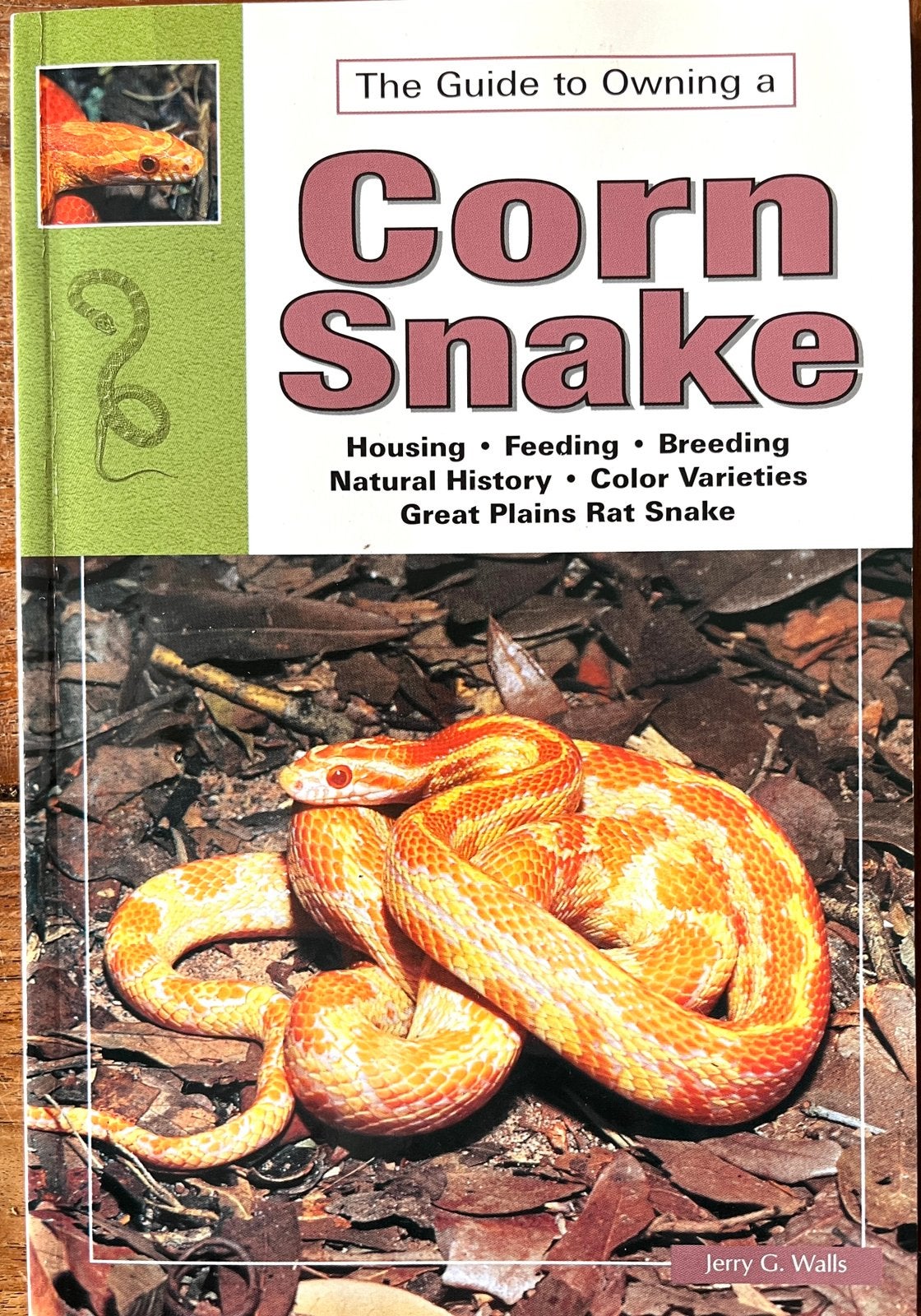The Guide To Owning a Corn Snake Korenslang Rattenslang, Jerry G.Walls, Nieuw, Ophalen of Verzenden, Reptielen of Amfibieën