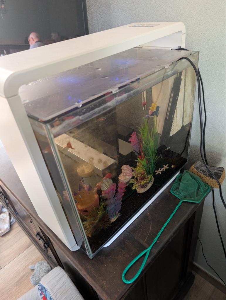 Superfish home 40, Ophalen, Gebruikt, Gevuld zoetwateraquarium, Superfish