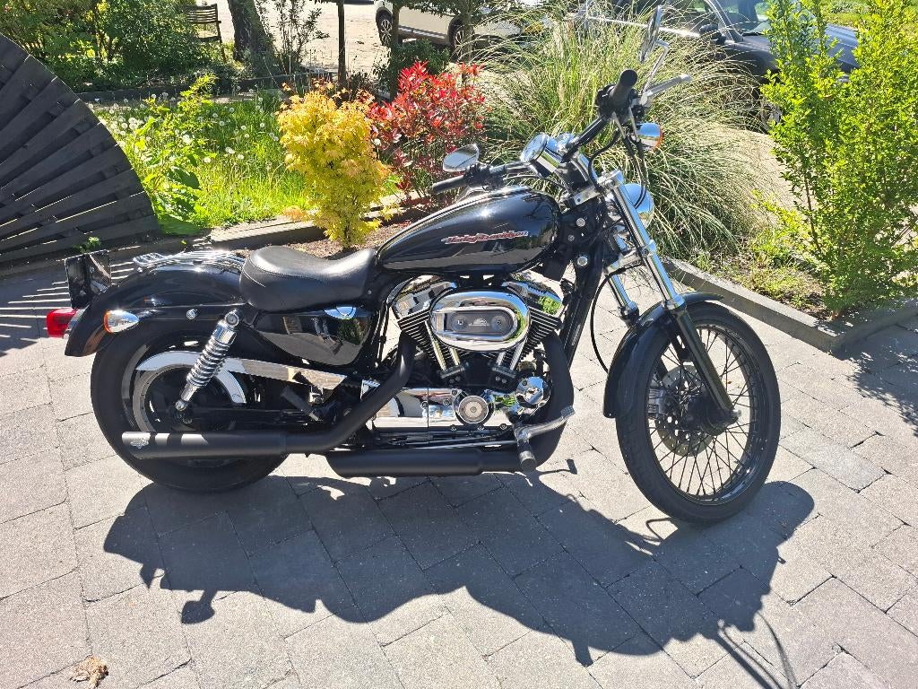Harley Davidson sportster XL 1200 custom, Motoren, 2 cilinders, Chopper, Gebruikt, Particulier