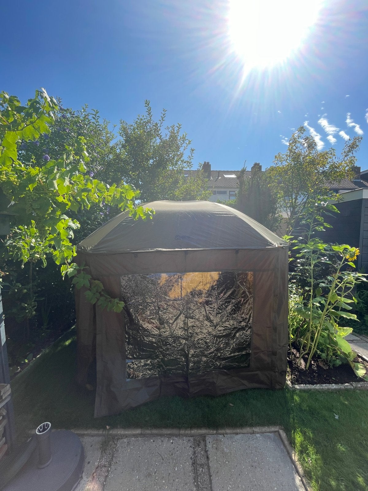 Vis parasol - tent, Ophalen, Nieuw