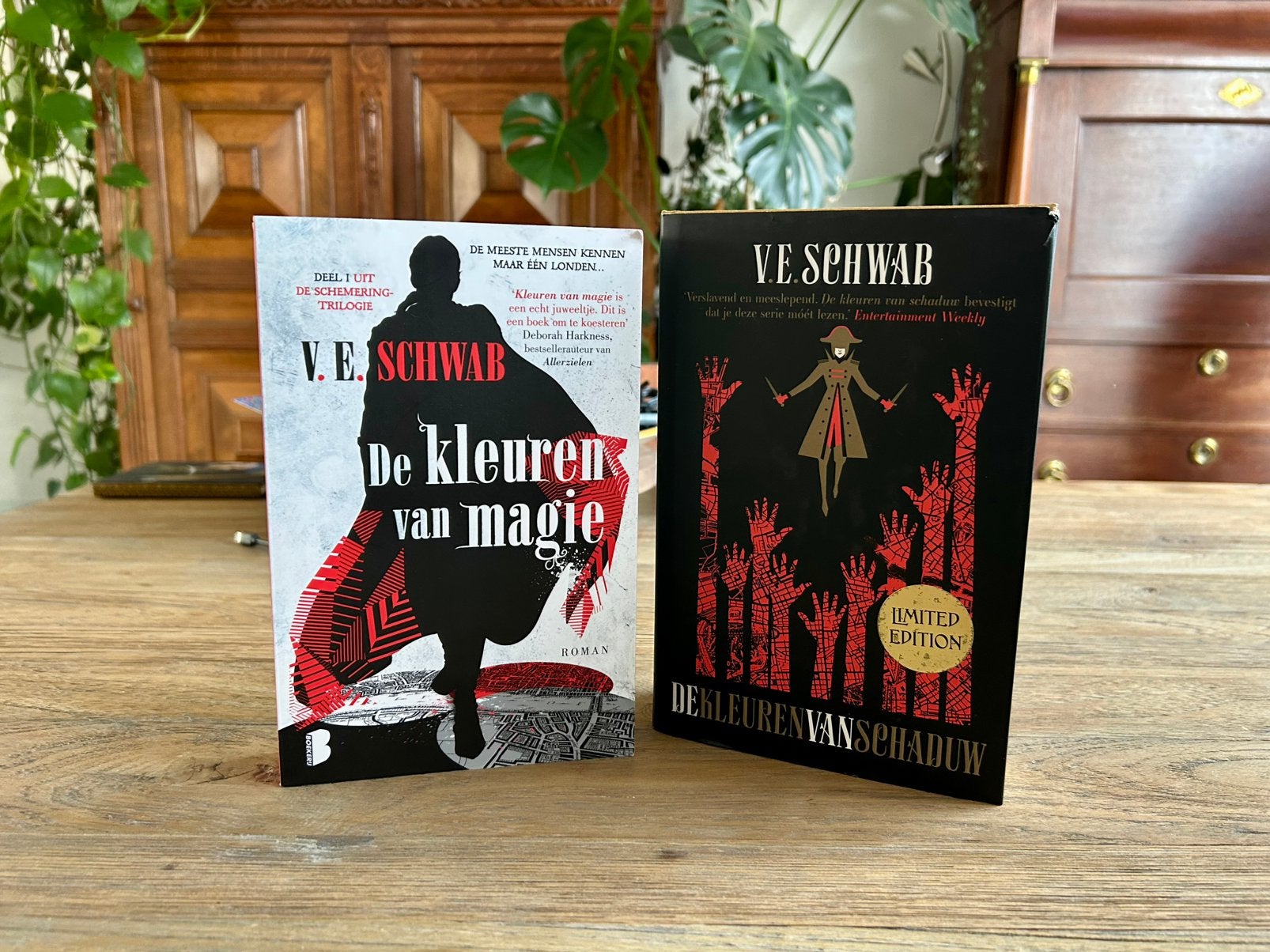 V.E. Schwab - De kleuren van schaduw, Ophalen of Verzenden, Zo goed als nieuw, V.E. Schwab