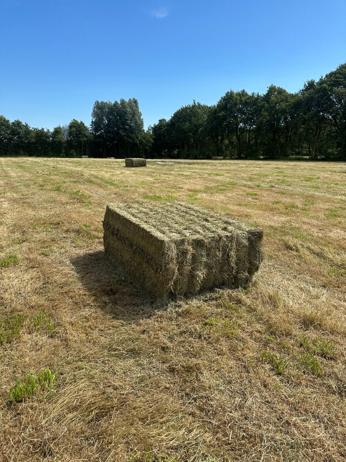 Hooi en kuilvoer te koop - Laden en transport mogelijk, Ophalen