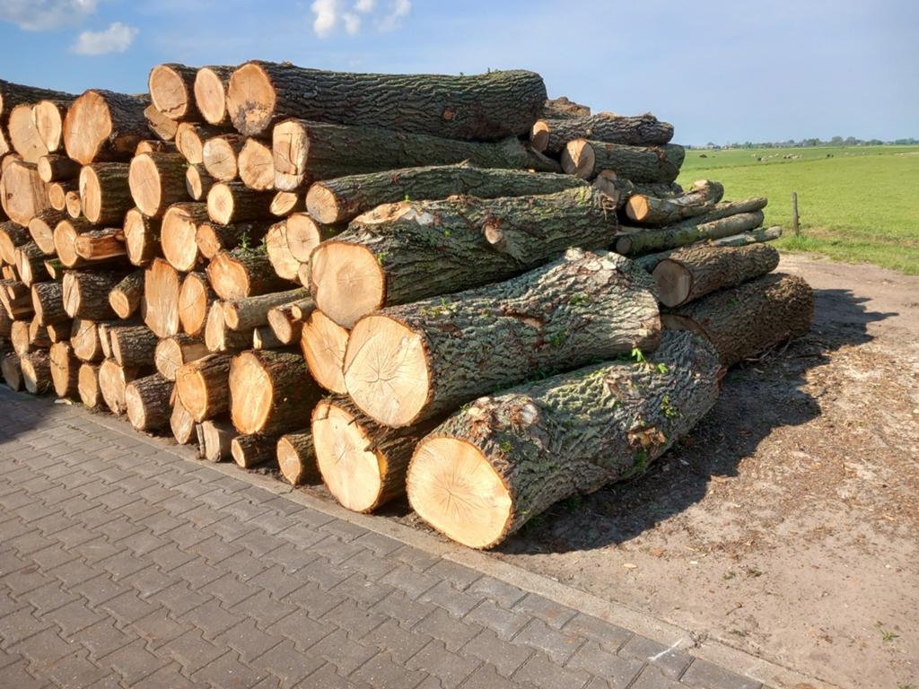 Stamhout brandhout rondhout openhaardhout kachelhout, Tuin en Terras, Haardhout, Ophalen