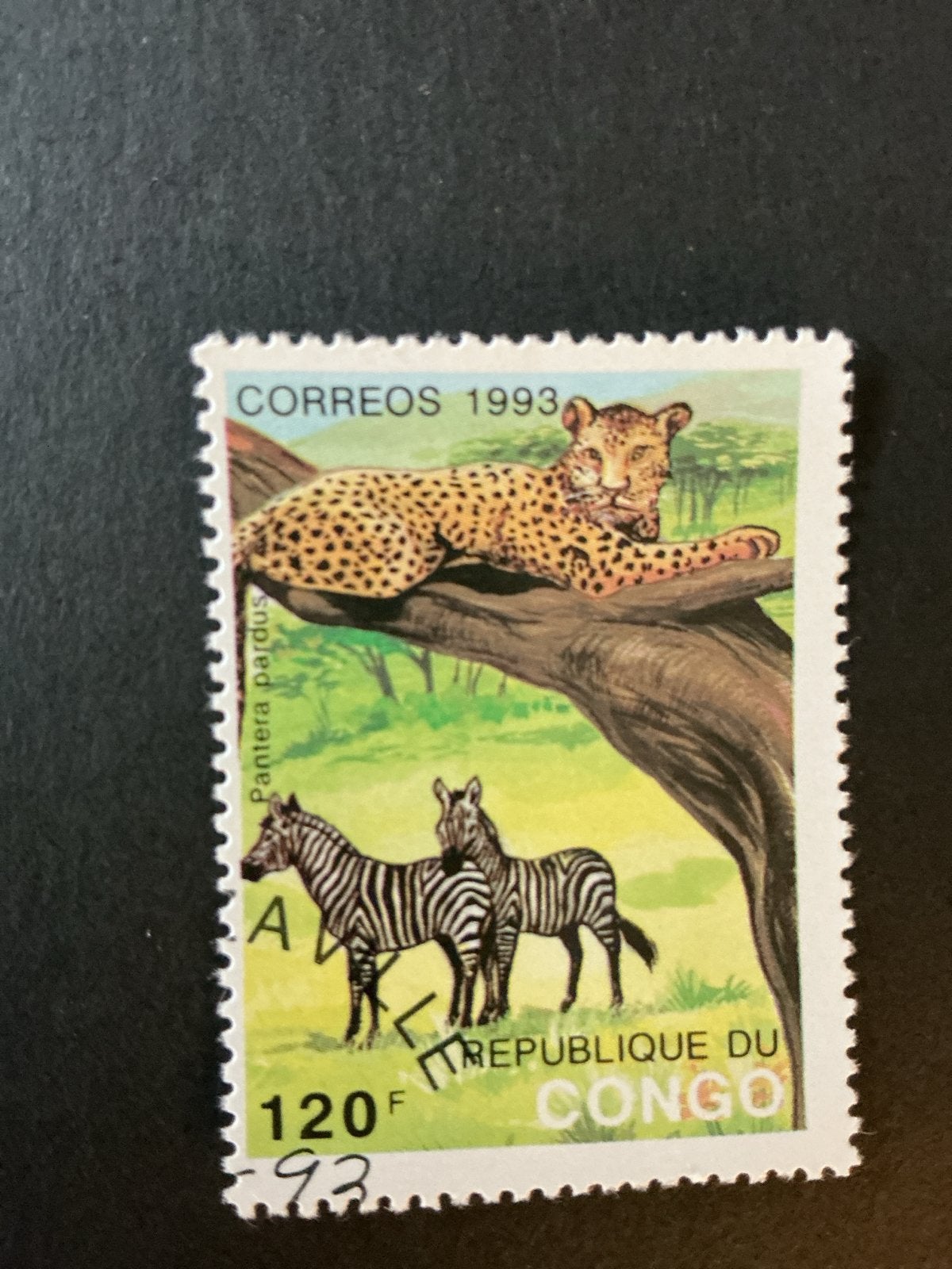 Congo postzegel 1993 - Panter en zebra's, Ophalen of Verzenden, Overige landen, Gestempeld