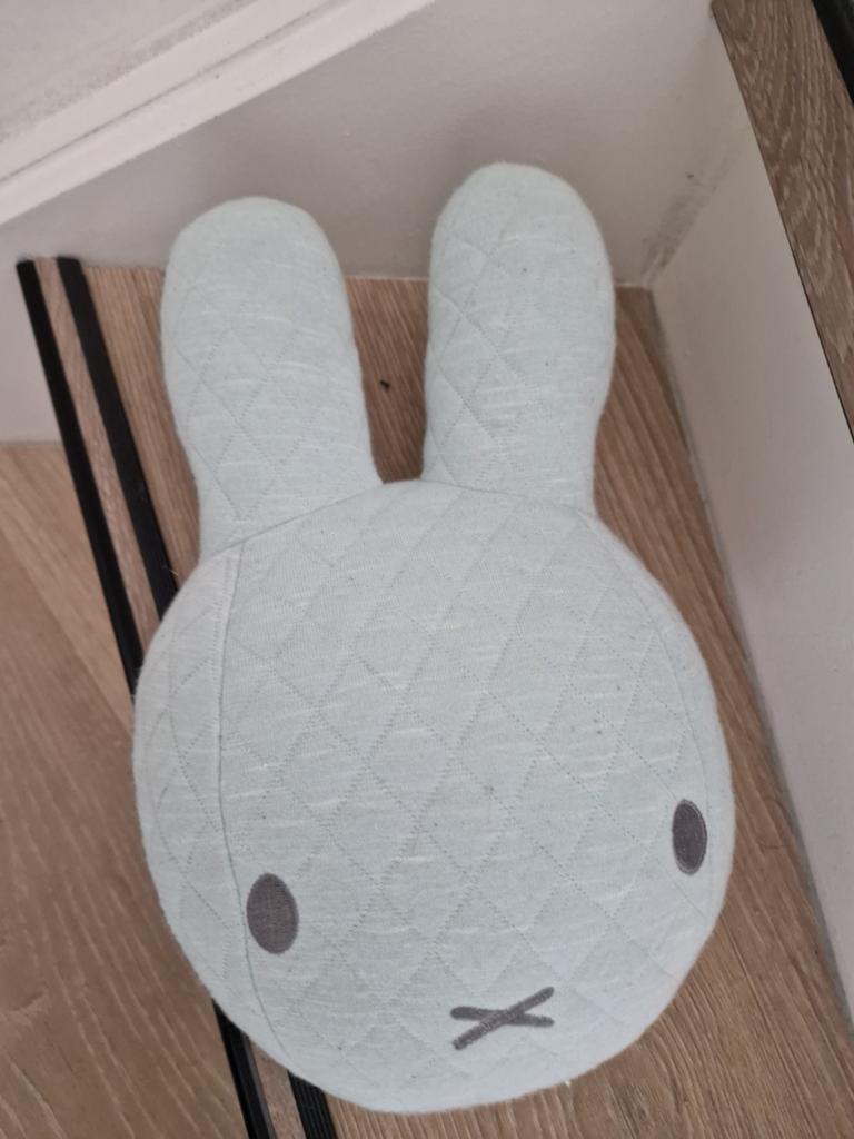 Nijntje mint muurdecoratie wanddecoratie, Ophalen of Verzenden, Zo goed als nieuw, Wanddecoratie