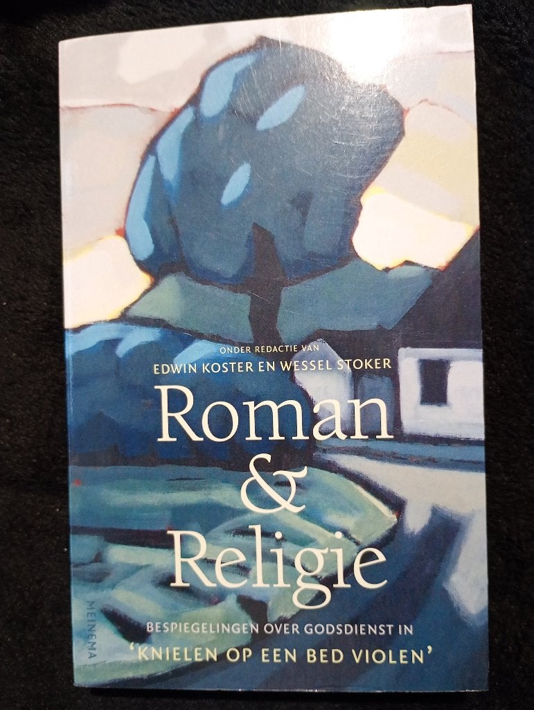 Edwin Koster, Roman en religie, Boeken, Ophalen of Verzenden, Gelezen