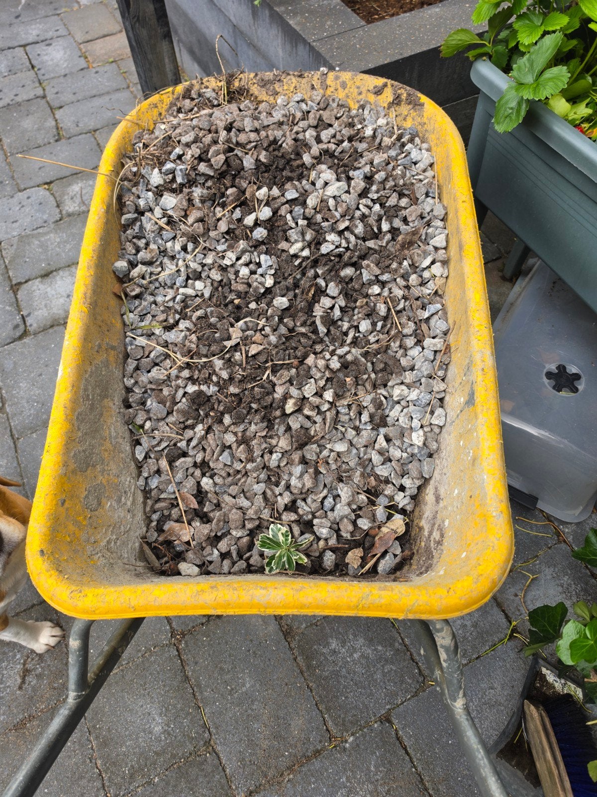 Grijs Split Grind voor Tuin en Landschap, Ophalen, Gebruikt, Grijs, Split
