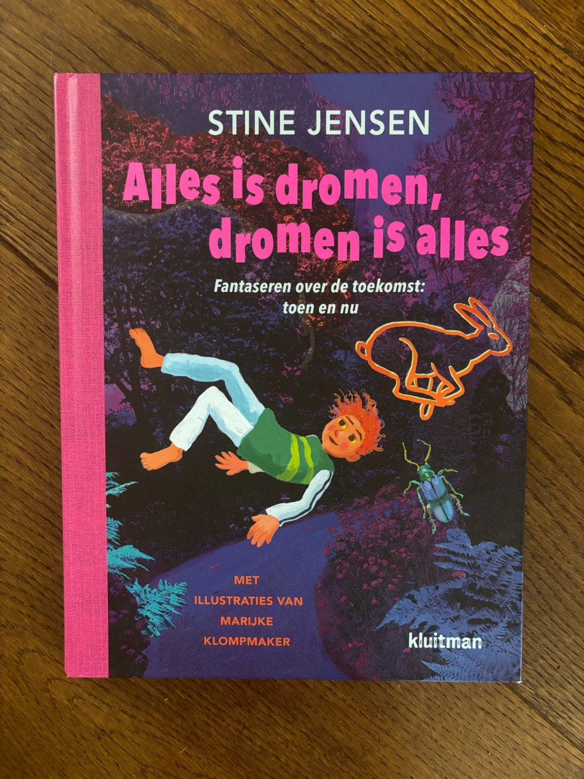 Stine Jensen: Alles is dromen, dromen is alles, Ophalen of Verzenden, Gelezen, Non-fictie