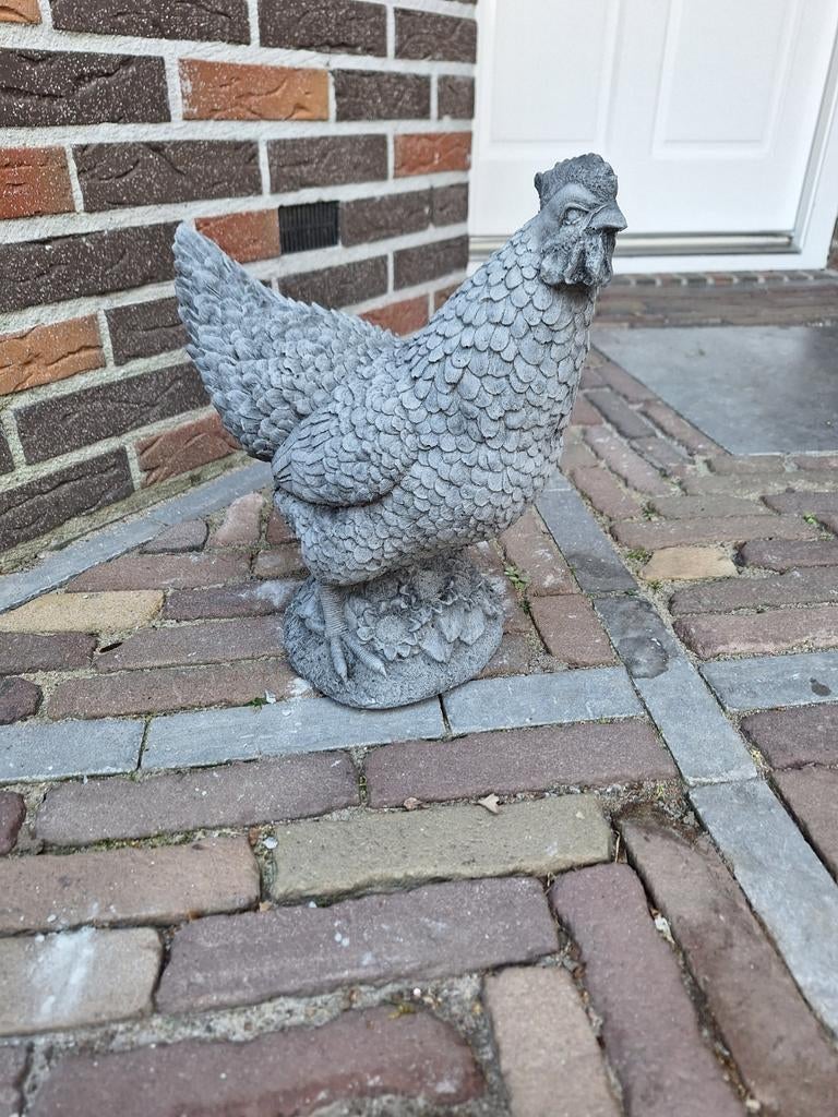 Betonbeeld Kip, Tuin en Terras, Tuinbeelden, Ophalen, Nieuw, Beton, Dierenbeeld