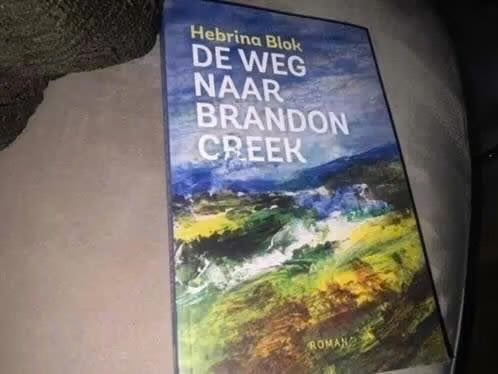 De Weg naar Brandon Creek - Hebrina Blok (Roman), Gelezen, Verzenden, Overige onderwerpen, Verhaal of Roman
