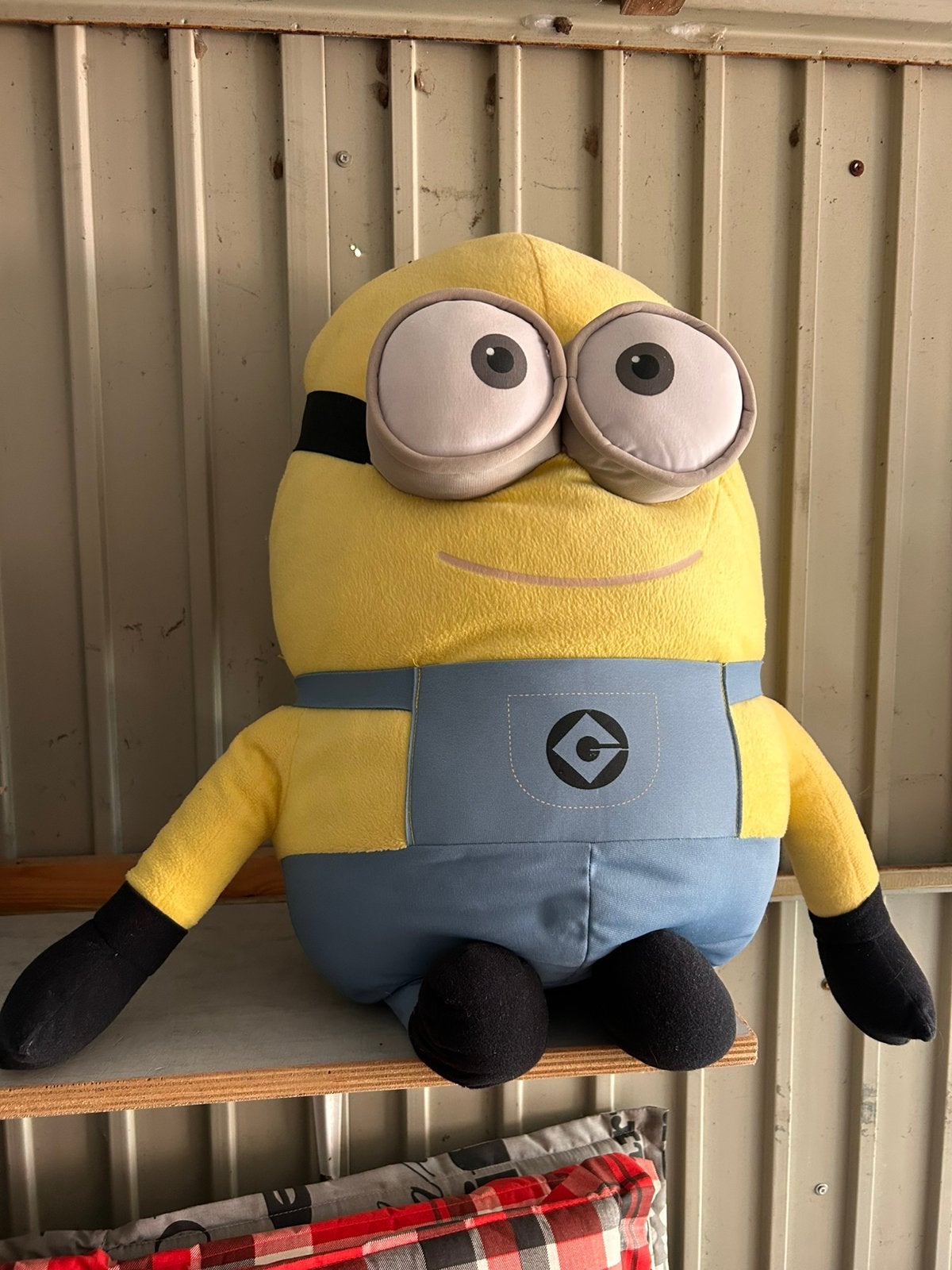 Minion, Ophalen, Zo goed als nieuw, Overige typen