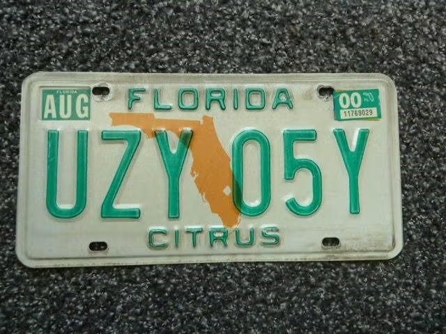 Kentekenplaat licenseplate Florida Citrus USA, Verzenden, Gebruikt, Auto's