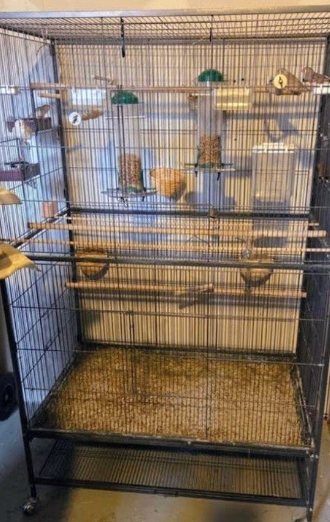 Grote vogelkooi/voilaire., Dieren en Toebehoren, Ophalen, Metaal, Vogelkooi