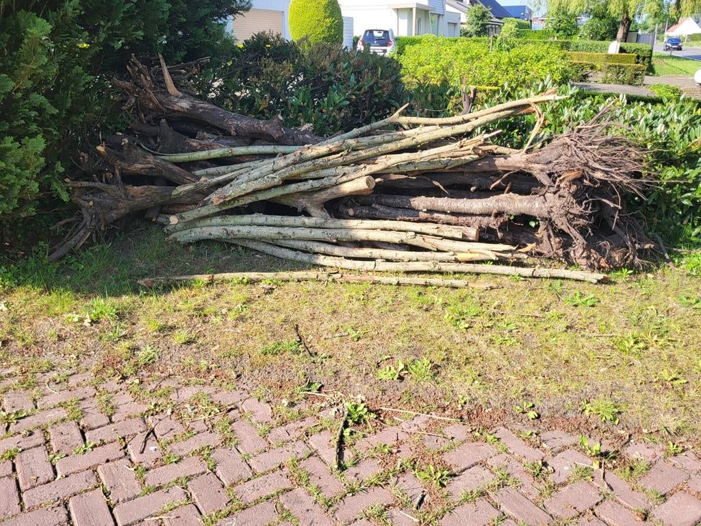 Kachelhout, zelf thuis klein te maken, Tuin en Terras, Minder dan 3 m³, Ophalen