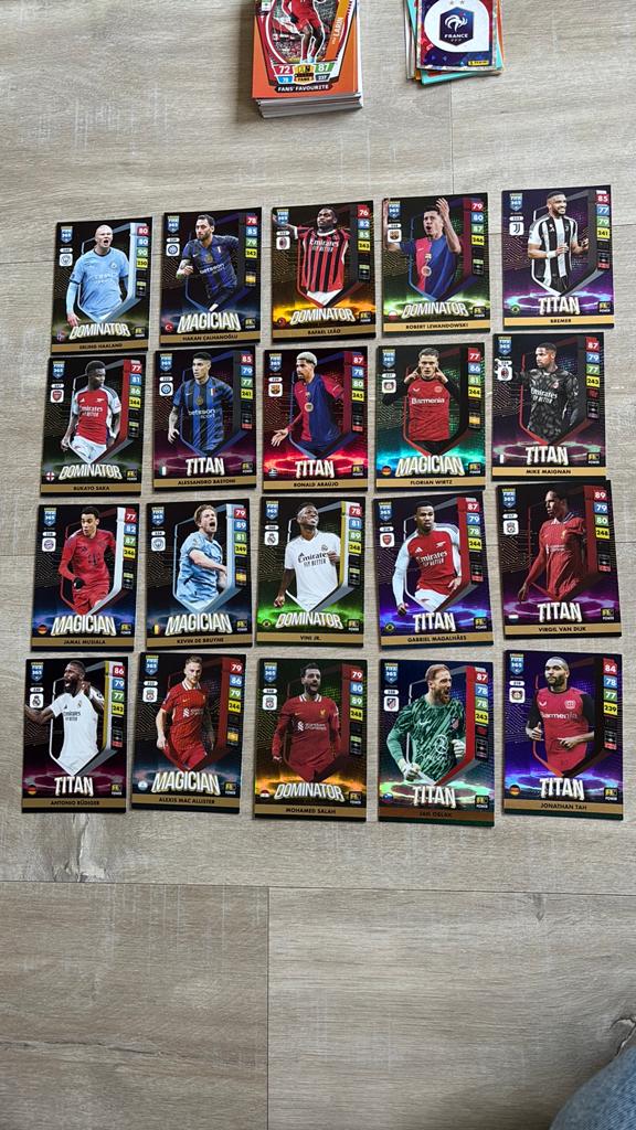 Panini voetbalkaarten 2025, Ophalen of Verzenden, Zo goed als nieuw, Plaatje