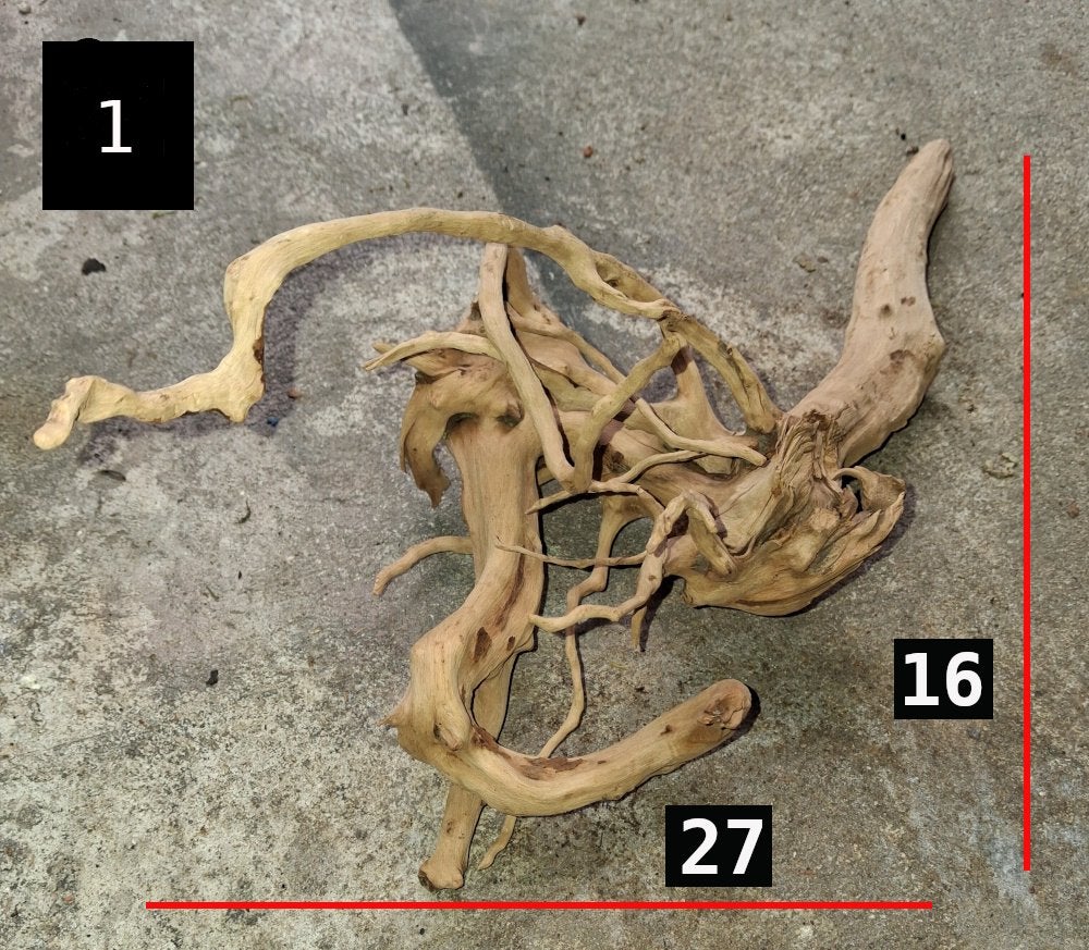 SPIDERWOOD & KIENHOUT – 9 MOOIE STUKKEN – TOT 40 CM, Dieren en Toebehoren, Ophalen, Zo goed als nieuw, Plant(en), Steen of Hout
