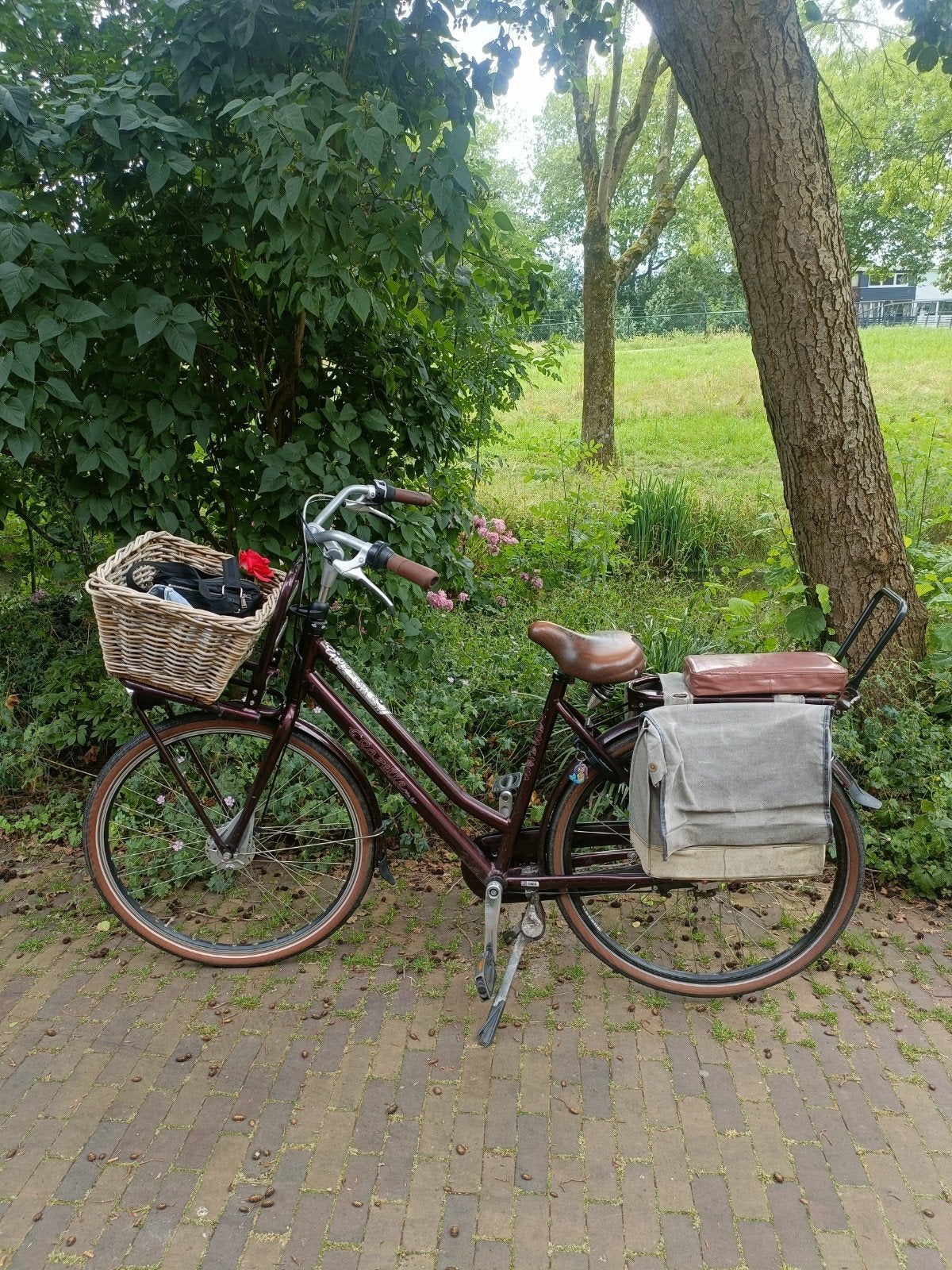 Gazelle Miss Grace Damesfiets, Ophalen, Gebruikt, Gazelle