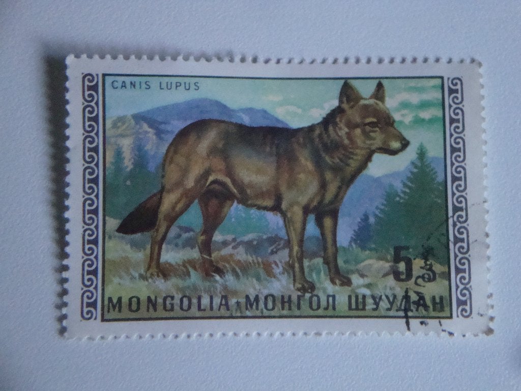Mongolië postzegel 5 Mongo 1970., Verzenden, Gestempeld, Oost-Azië