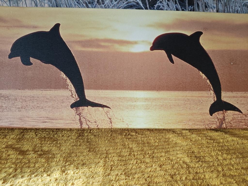 Schilderij met twee springende dolfijnen, 125 cm of meer, Ophalen of Verzenden, Minder dan 50 cm, Print