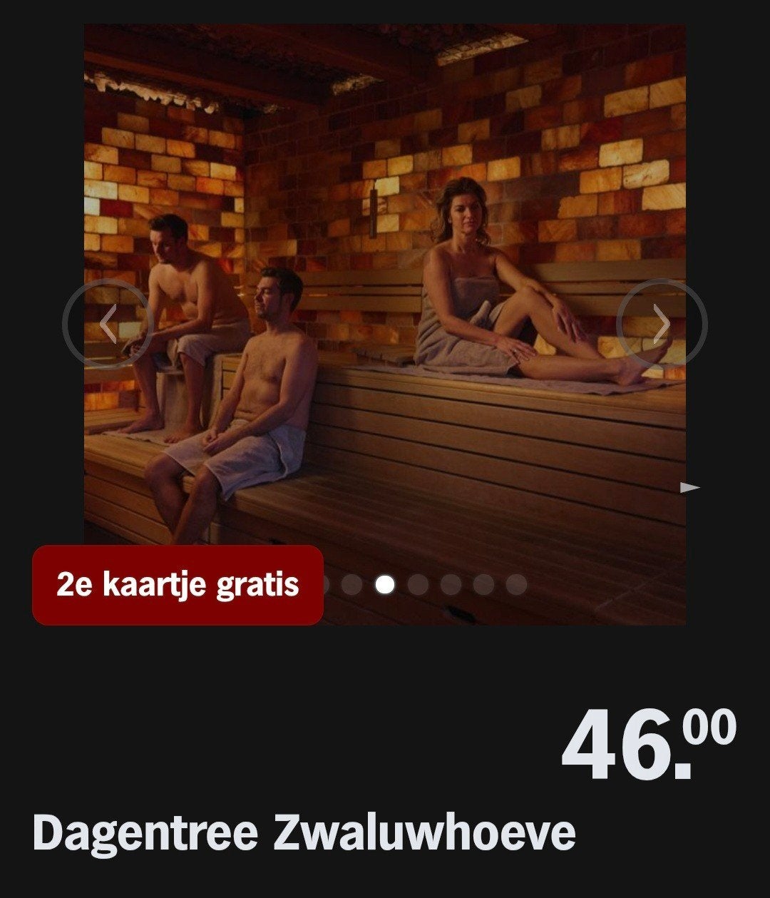 ZWALUWHOEVE ♡ Dagentree - 2e kaartje gratis AH SPAARKAARTEN, Tickets en Kaartjes, Overige soorten