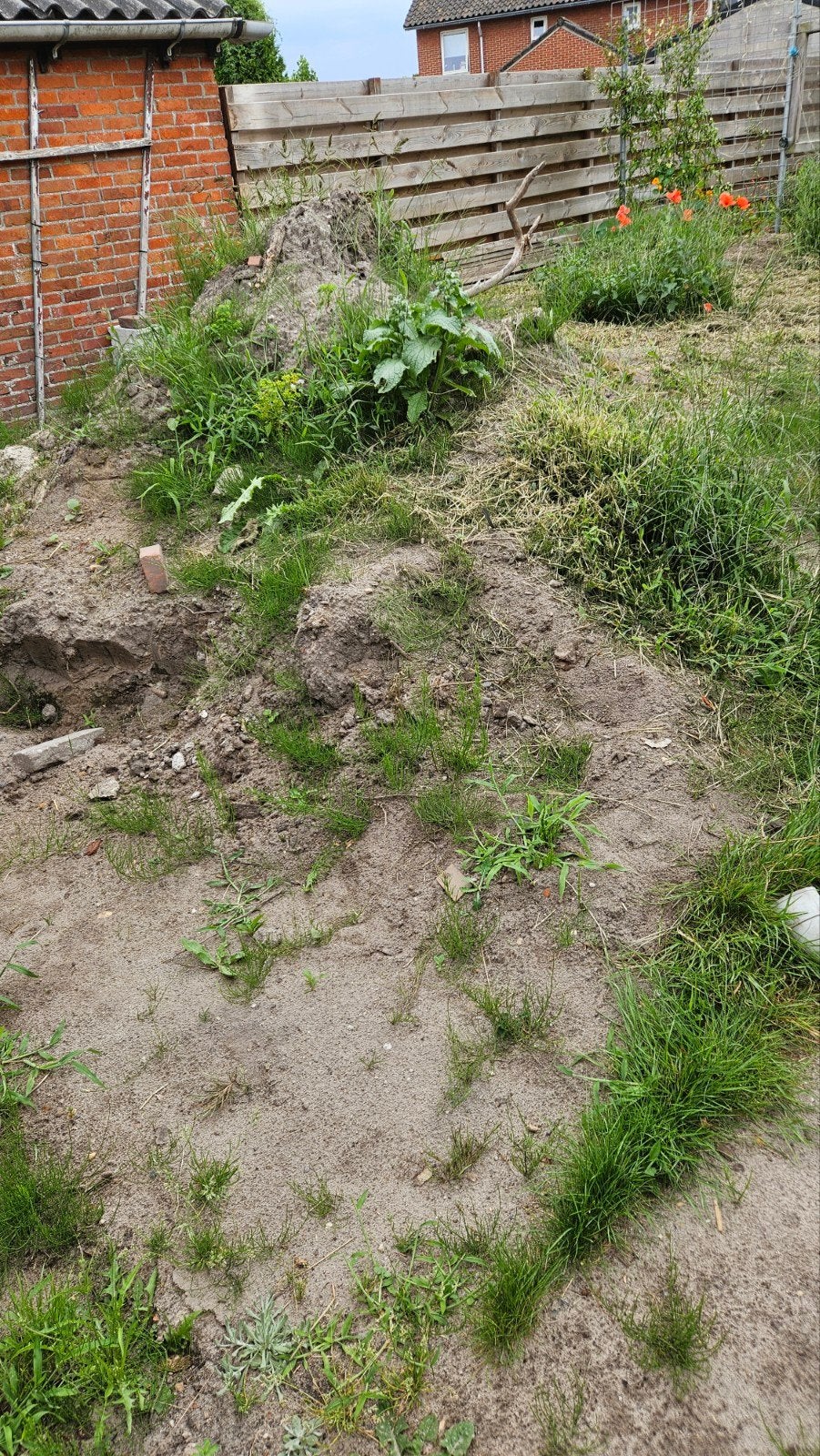 Foto 2 van gratis tuinaarde, naar keuze ergens tussen 1 kruiwagen- 3 m3