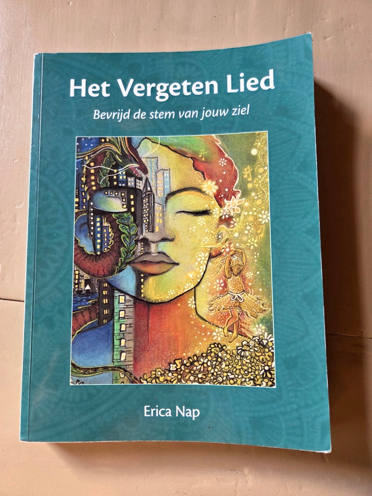 Het Vergeten Lied - Erica Nap (gebruikssporen), Ophalen of Verzenden, Gelezen, Erica Nap