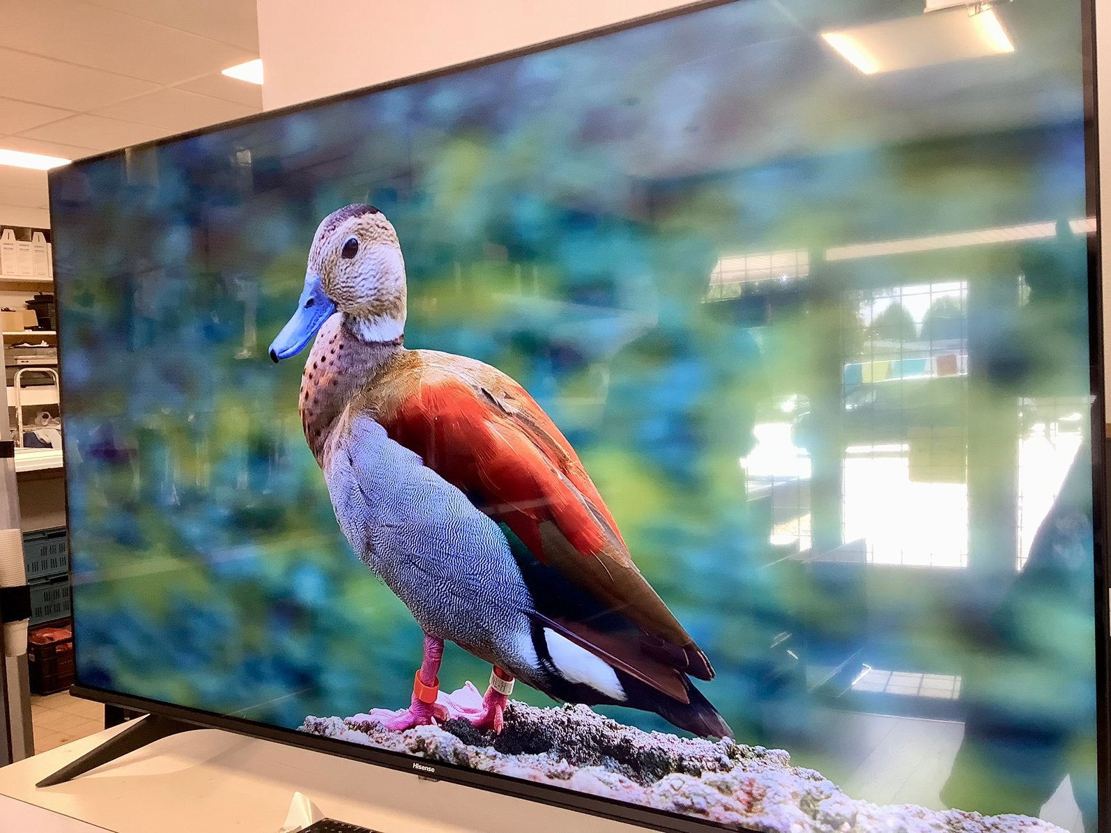 Hisense SMART LED TV 55’’ met 3 maand Garantie!, Hisense, LED, Hisense, 50 Hz