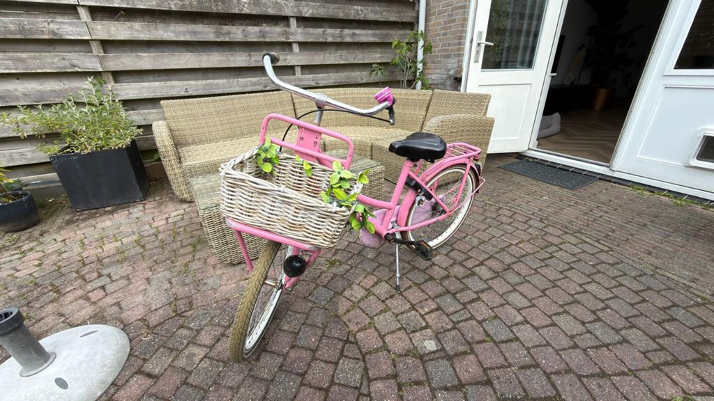 Popal meisjes fiets 22inch, Ophalen of Verzenden, Gebruikt, 22 inch, Handrem