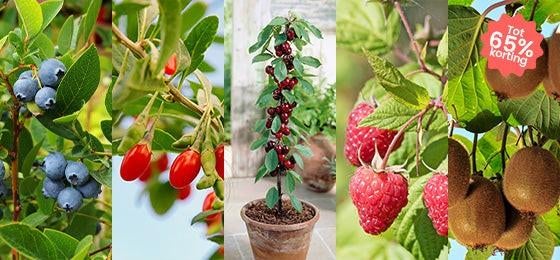 Moestuin volkstyin tuinhuisje GEZOCHT, Hobby en Vrije tijd, Ophalen of Verzenden