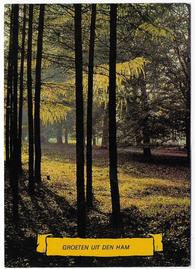 Den Ham Gelopen Ansichtkaart ( B6015), Verzenden, 1980 tot heden, Gelopen
